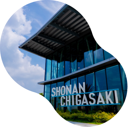 ギャザーイメージ